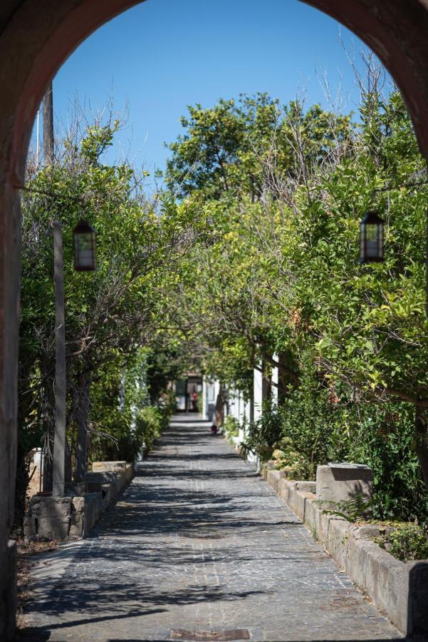 Controvento In Villa Eldorado Procida Eksteriør bilde