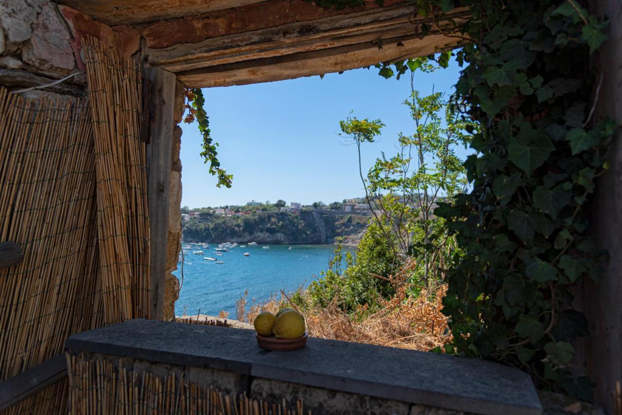 Controvento In Villa Eldorado Procida Eksteriør bilde